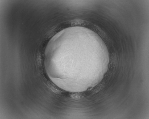 X0000073830761200609071515