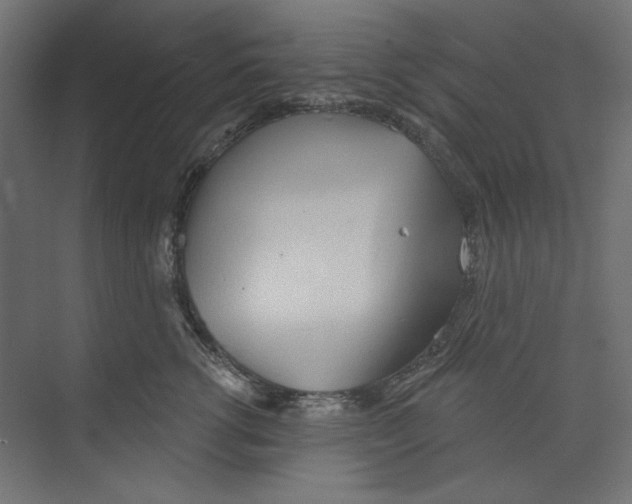 X0000073830762200609071515