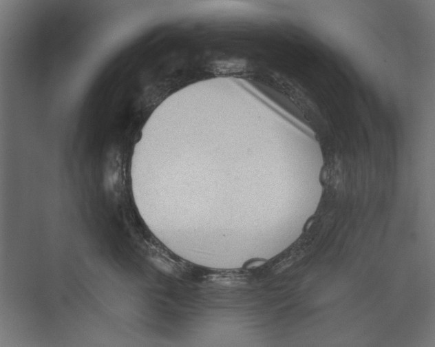 X0000073830763200609071515