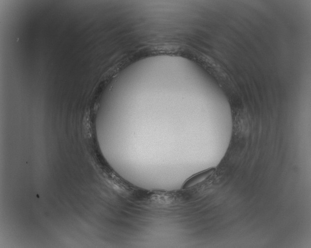 X0000073830764200609071515