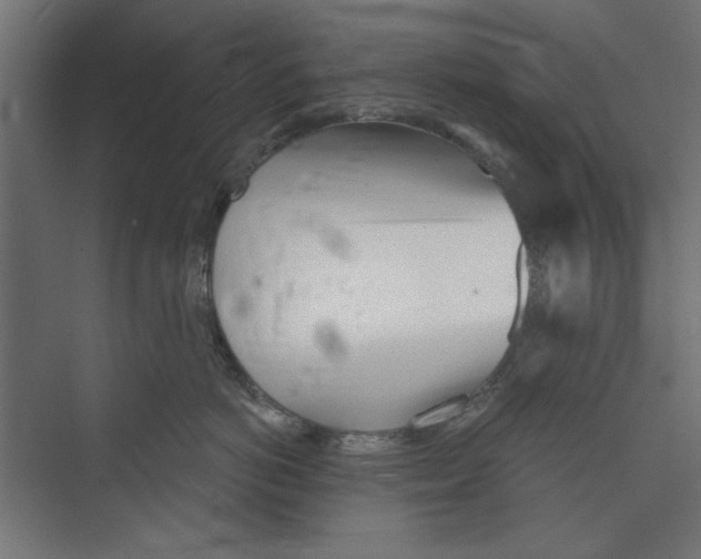 X0000073830766200609071515