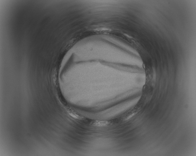 X0000073830767200609071515