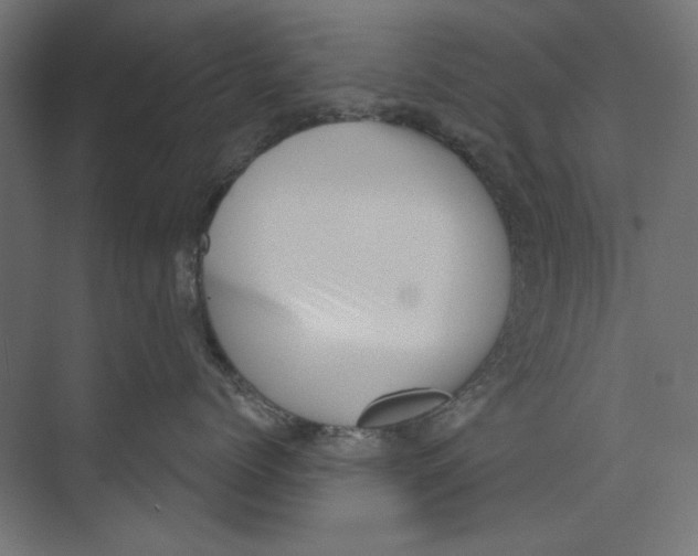 X0000073830768200609071515