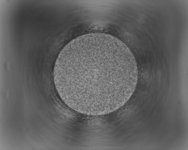 X0000073830769200609071514