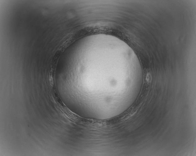 X0000073830771200609071514