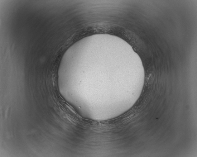 X0000073830772200609071514