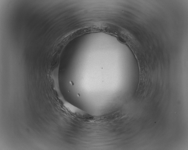 X0000073830773200609071514