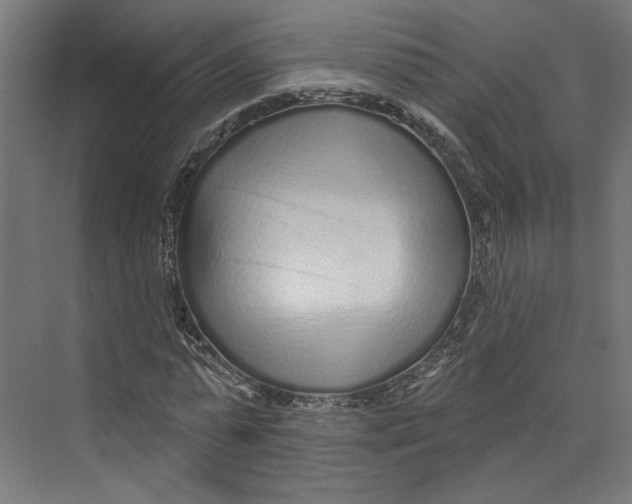 X0000073830775200609071514