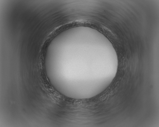 X0000073830776200609071514