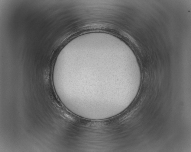 X0000073830778200609071514