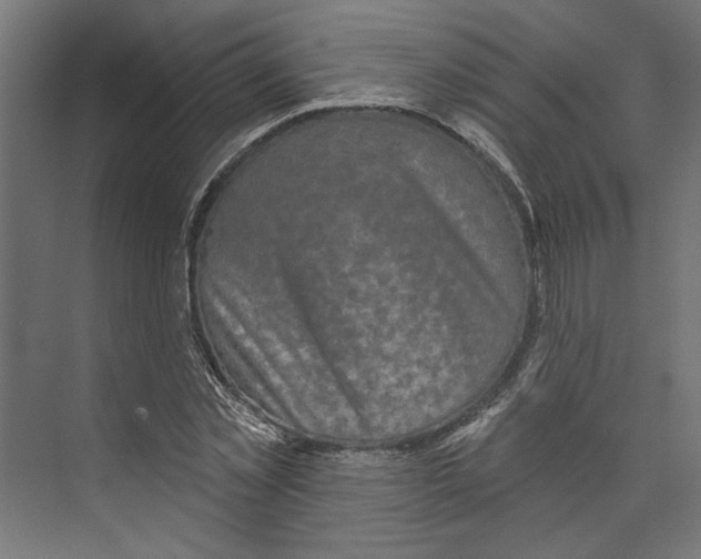 X0000073830781200609071514