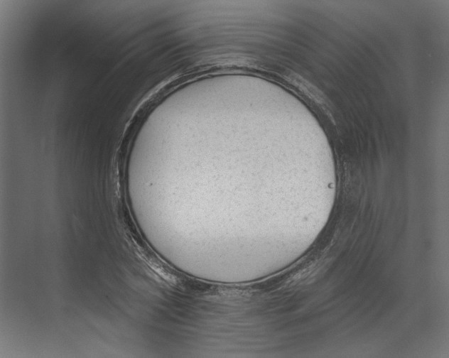 X0000073830782200609071514