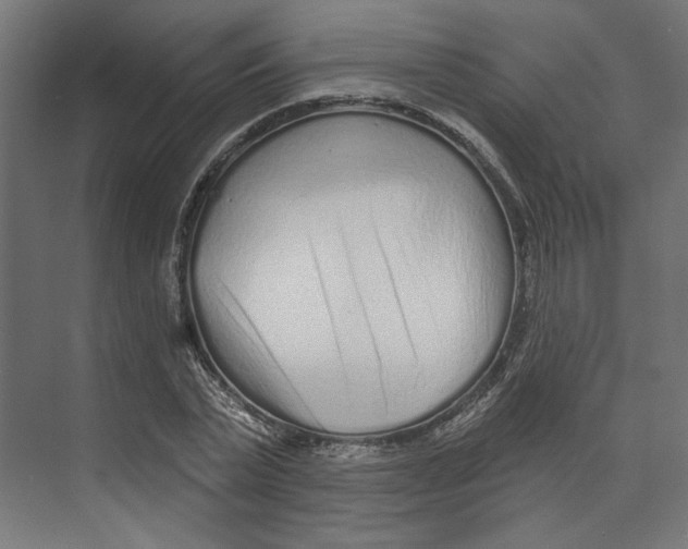 X0000073830783200609071514