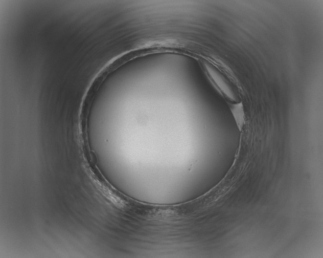 X0000073830784200609071514