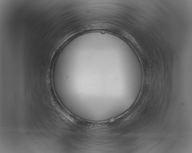 X0000073830786200609071514