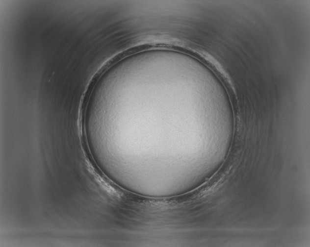 X0000073830791200609071513