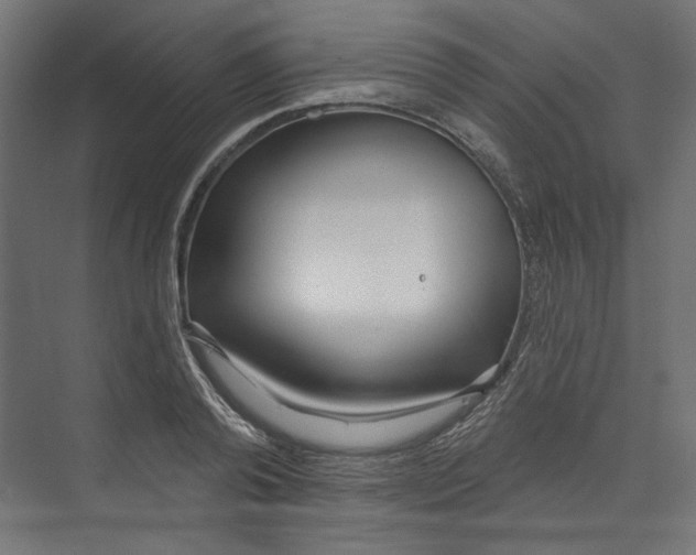 X0000073830792200609071513