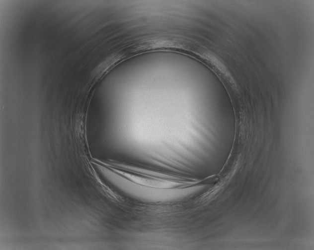 X0000073830793200609071513