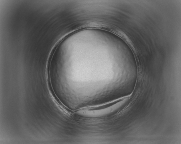 X0000073830795200609071513