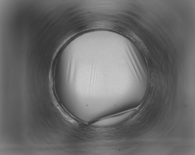 X0000073830796200609071513