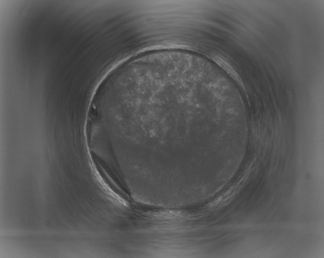 X0000073830797200609071513