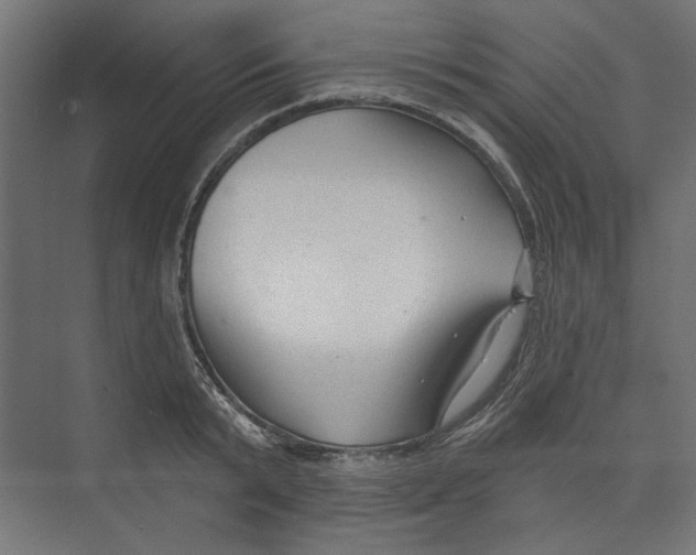 X0000073830799200609071513