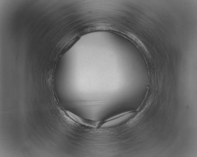 X0000073830801200609071513