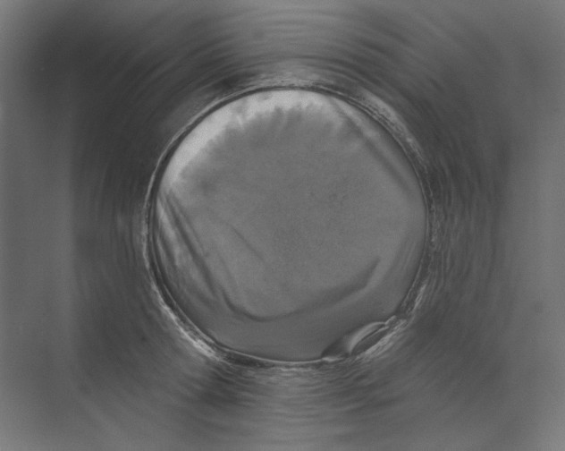 X0000073830802200609071513