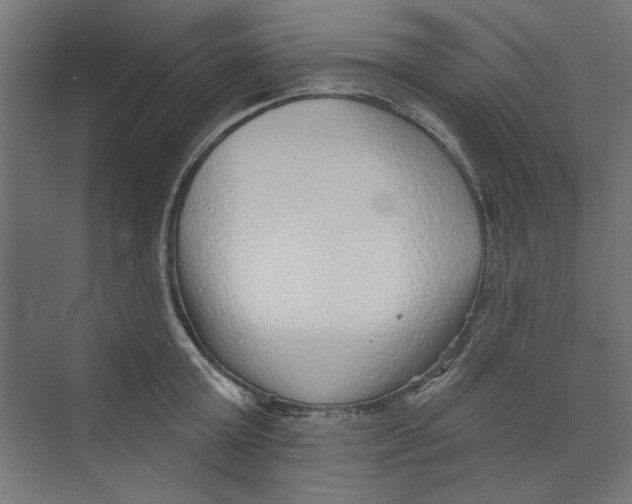 X0000073830803200609071513