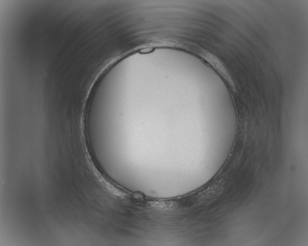 X0000073830805200609071513