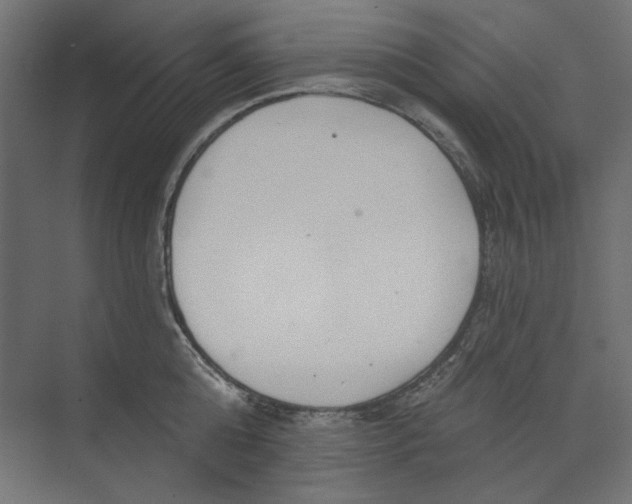 X0000073830808200609071513