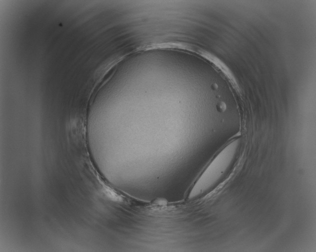 X0000073830809200609071513