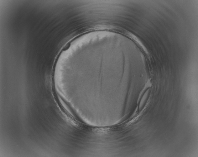 X0000073830810200609071513