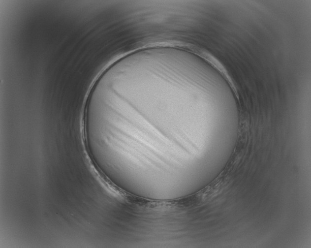 X0000073830811200609071513