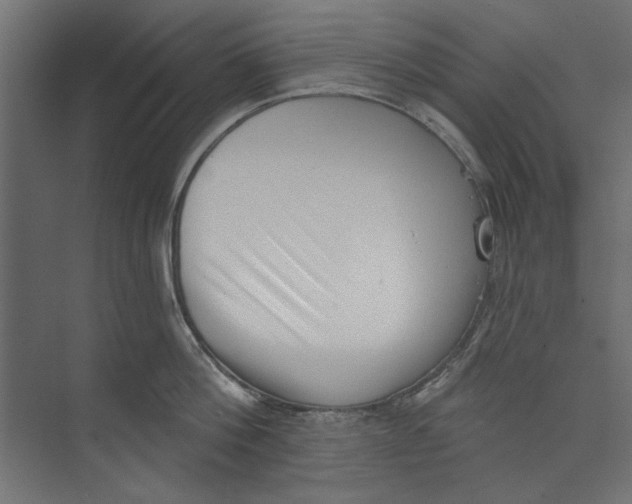 X0000073830812200609071513