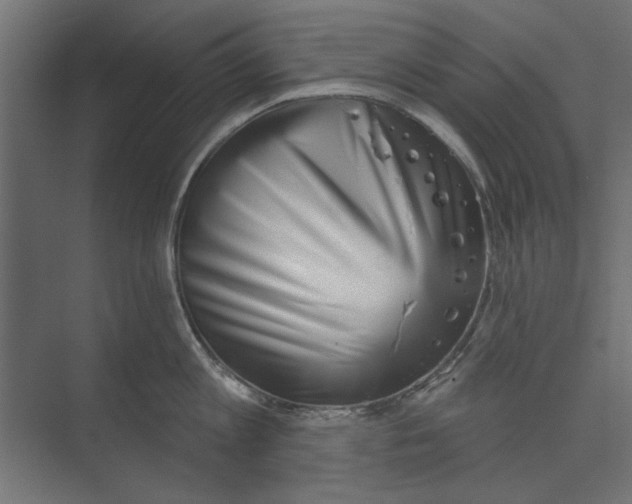 X0000073830813200609071513