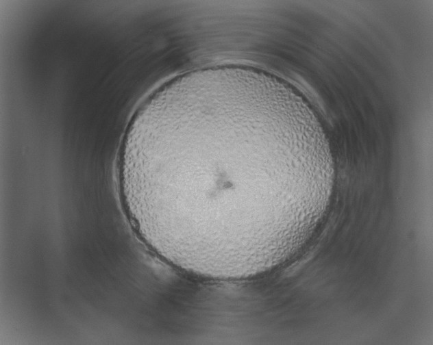 X0000073830814200609071513