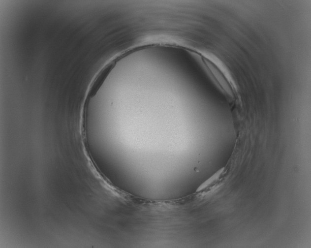 X0000073830815200609071513