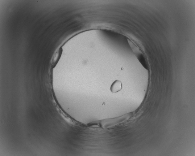 X0000073830816200609071513