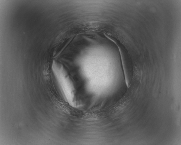 X0000073830818200609071512