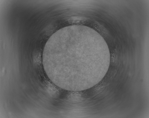 X0000073830820200609071512