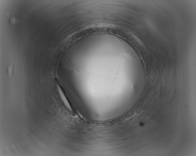 X0000073830821200609071512