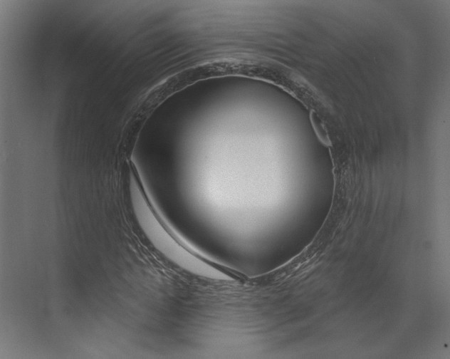 X0000073830822200609071512