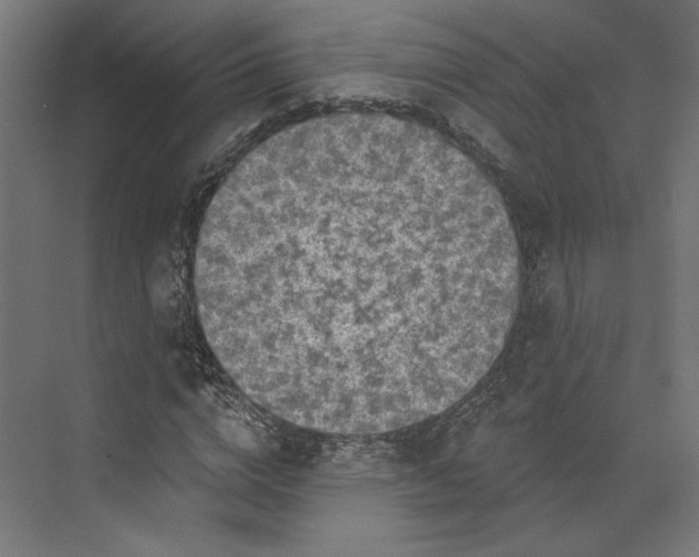 X0000073830824200609071512