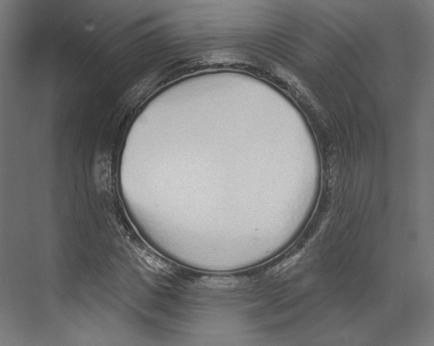 X0000073830825200609071512