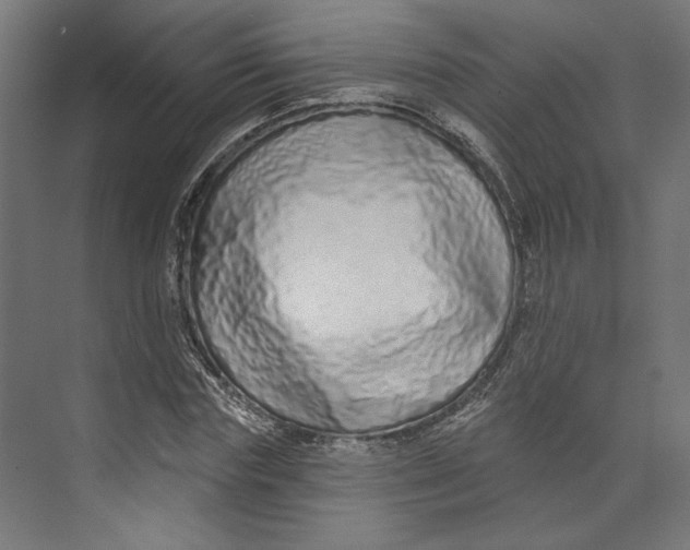 X0000073830827200609071512