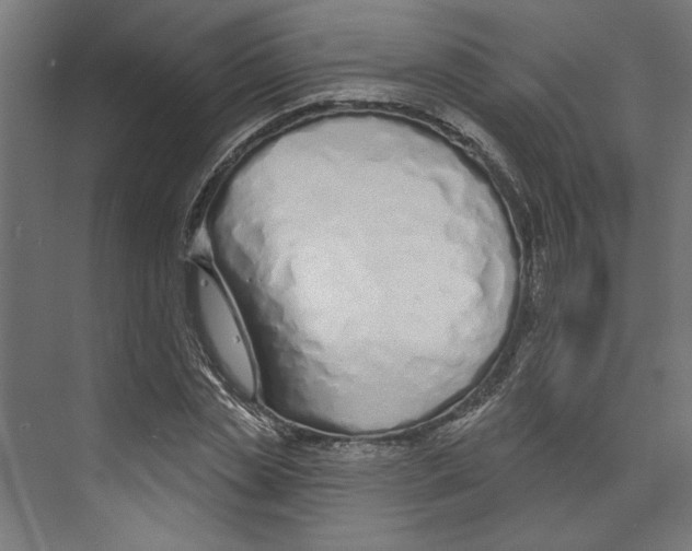 X0000073830829200609071512