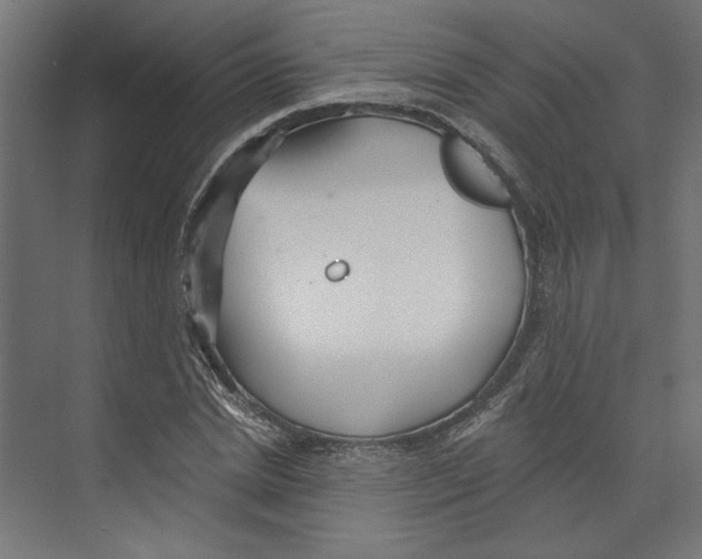 X0000073830830200609071512