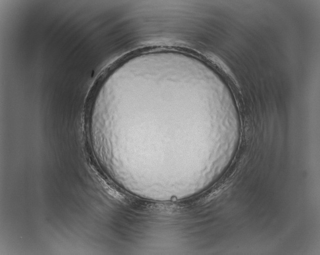 X0000073830831200609071512