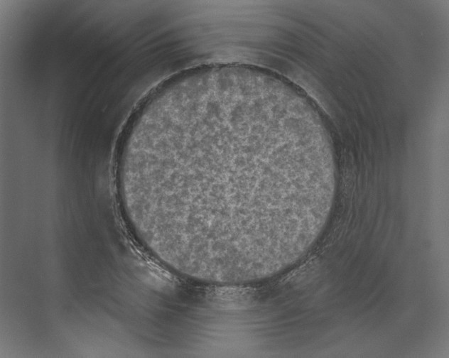 X0000073830832200609071513